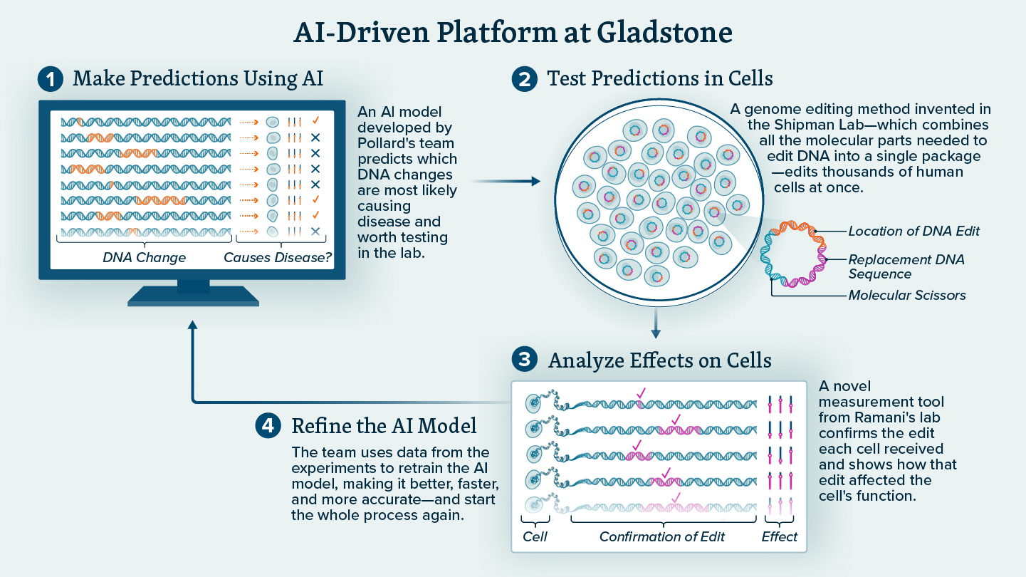 How AI Is Pinpointing the Genetic Cause of Disease